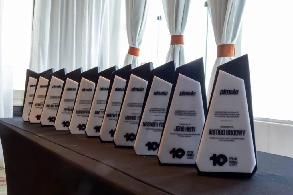 Ten Years in the Equation: Pimula’s Decade of Innovation and Impact